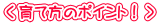 <育て方のポイント!>